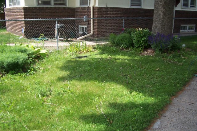 futuresiteoftheconnectingbed.jpg