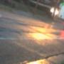 Accidently snapped while walking in the rain.