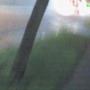 Accidently snapped while walking in the rain.