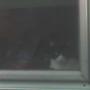 Kitty watches me from the kitchen window.